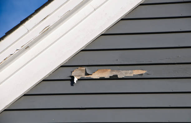 Shed Removal in Kansas City, MO